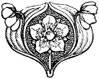 CGA51059.TIF