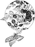 CGA51053.TIF