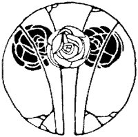 CGA51041.TIF