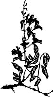 CGA51028.TIF