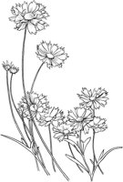 CGA51023.TIF