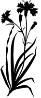 CGA51016.TIF