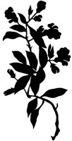 CGA51015.TIF