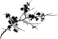 CGA51014.TIF