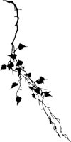 CGA51013.TIF