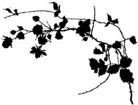 CGA51012.TIF