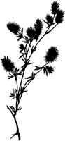 CGA51011.TIF