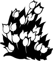 CGA50998.TIF
