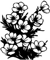 CGA50996.TIF