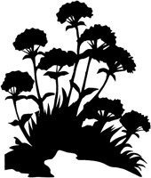 CGA50993.TIF