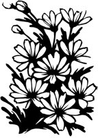CGA50992.TIF