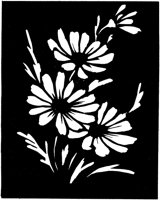 CGA50989.TIF