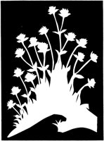 CGA50988.TIF