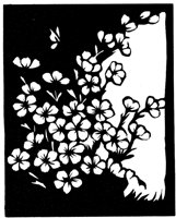 CGA50987.TIF