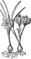 CGA50976.TIF