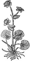 CGA50969.TIF