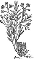 CGA50957.TIF