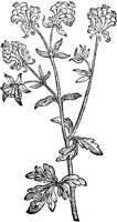 CGA50938.TIF