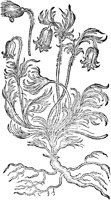 CGA50936.TIF
