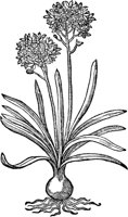 CGA50932.TIF
