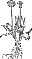 CGA50927.TIF