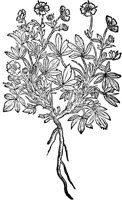 CGA50926.TIF