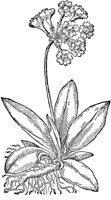 CGA50924.TIF