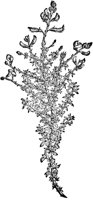 CGA50922.TIF