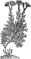 CGA50921.TIF