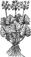 CGA50920.TIF