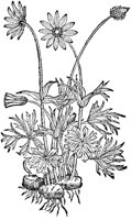CGA50919.TIF