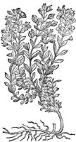 CGA50915.TIF