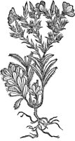 CGA50908.TIF