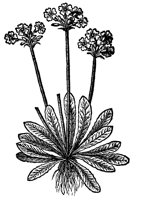 CGA50906.TIF