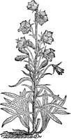 CGA50898.TIF