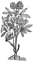 CGA50894.TIF