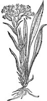 CGA50892.TIF