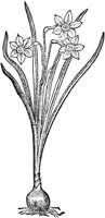 CGA50881.TIF