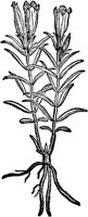 CGA50879.TIF