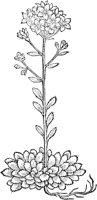 CGA50876.TIF