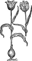 CGA50871.TIF
