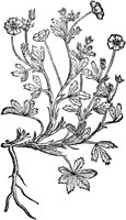 CGA50870.TIF