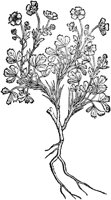 CGA50869.TIF