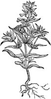 CGA50866.TIF