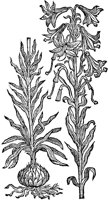 CGA50863.TIF