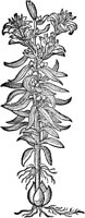 CGA50862.TIF