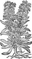 CGA50859.TIF