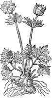 CGA50855.TIF