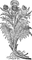 CGA50851.TIF