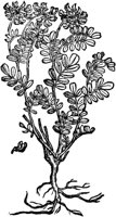 CGA50847.TIF